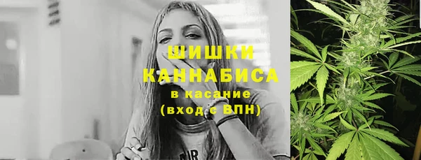 тгк Михайлов