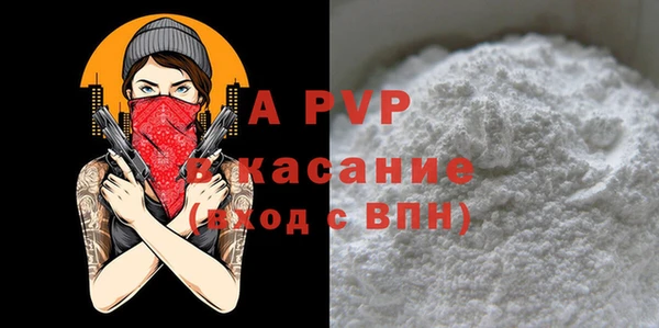 крисы Мегион