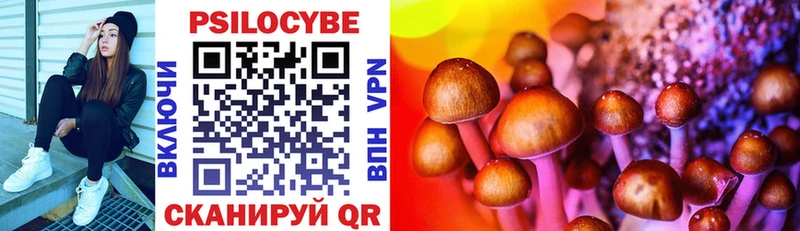 Галлюциногенные грибы MAGIC MUSHROOMS  где можно купить   Талица 