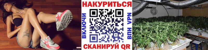 OMG зеркало  Талица  Марихуана OG Kush 